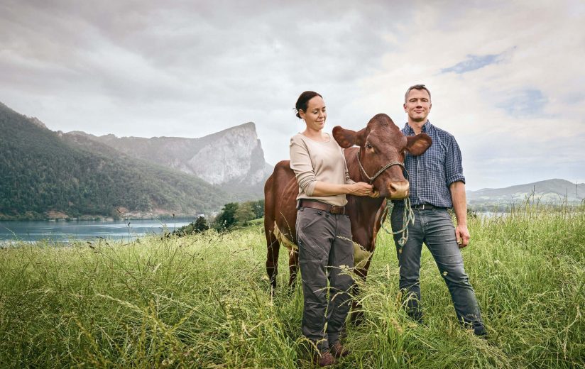 Ein Leben für Heumilch am Mondsee