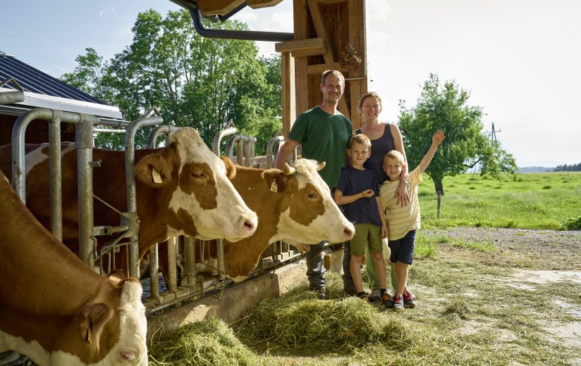 Tradition und Tierwohl am Wallersee